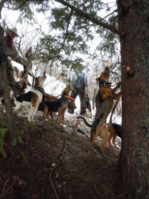 Here he is on his second cat