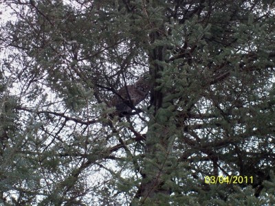 106_0262 [640x480].JPG