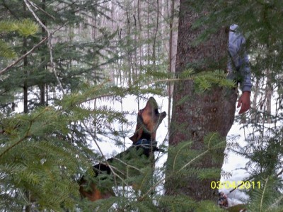 106_0263 [640x480].JPG