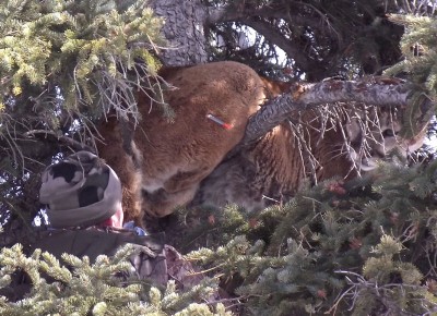 March 7 2011 Jake.jpg