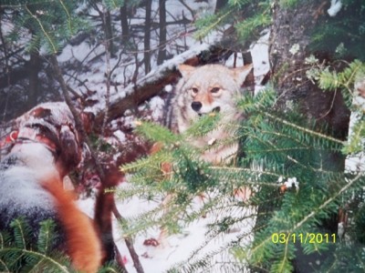 106_0276 [640x480].JPG