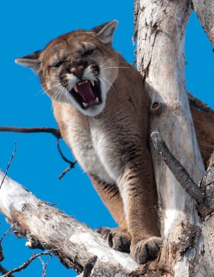 7 D March 13 2011.jpg