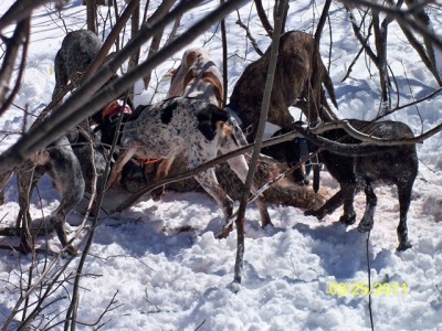 106_0278 [640x480].JPG