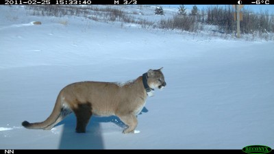 Lee Feb 25 2011 Waterton Park.jpg