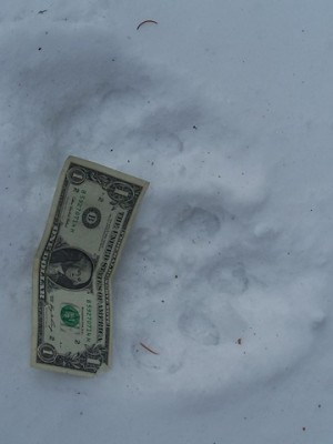 100_2816 [640x480].jpg