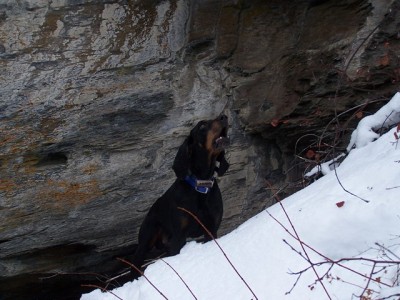 100_2747 [640x480].jpg