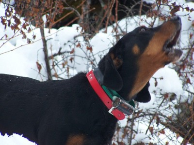 100_2765 [640x480].jpg