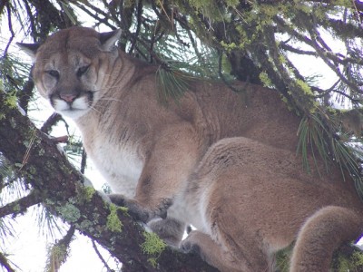 100_2736 [640x480].jpg