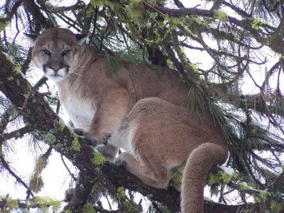 100_2740 [640x480].jpg