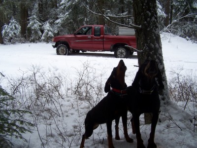 100_2793 [1024x768].jpg