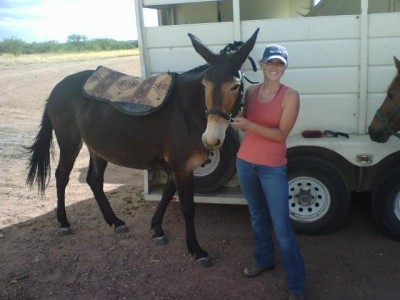 mule 1.jpg