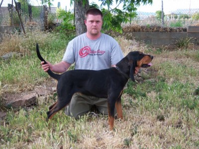 this is my female that should be expecting