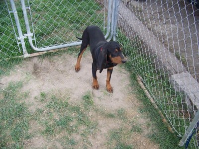 102_1684 [640x480].JPG