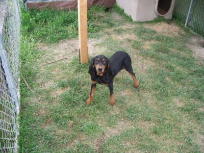 102_1688 [640x480].JPG