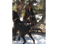 the one with her chest to you is her.