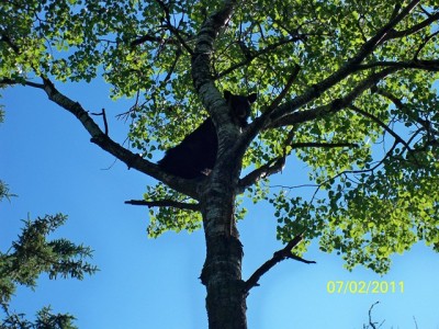 106_0327 [640x480].JPG