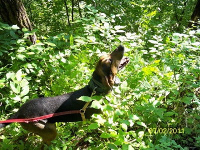 106_0328 [640x480].JPG