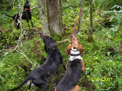 106_0331 [640x480].JPG