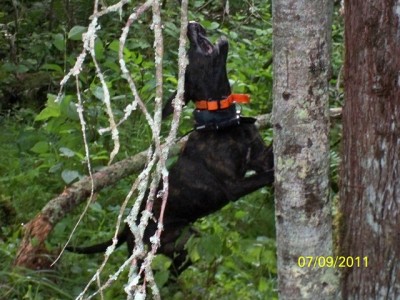 106_0332 [640x480].JPG