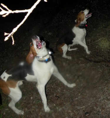 CH 'PR' COMA'S GAME OVER (front)