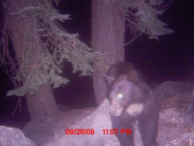 hijacked camera 961.JPG