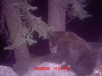 hijacked camera 962.JPG