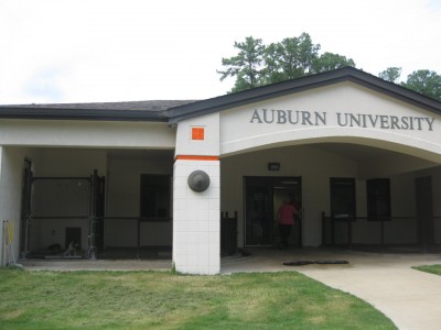 pups' kennel is to left of front door
