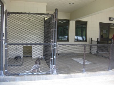 pus kennel; red in front and smokey at back