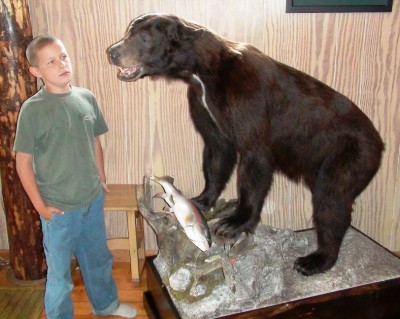 Bear mount 1.JPG