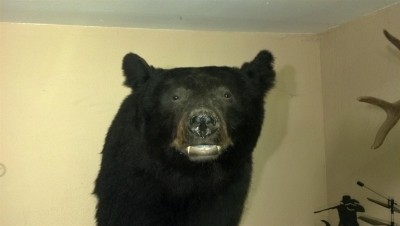 2011-10-18_21-07-54_321 (Large).jpg