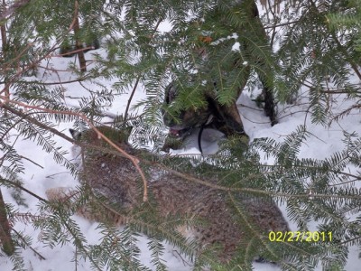 106_0259 [640x480].JPG