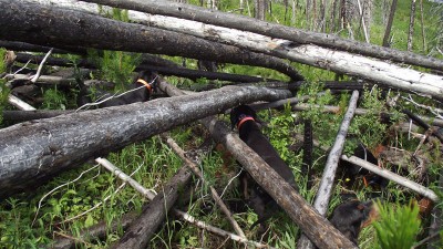 Tonya Carbondale River.jpg