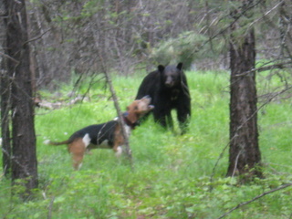 June 25 2011 036-2.JPG