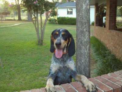 Athena the mother.jpg