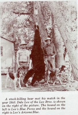 Lee's Arizona Blue.jpg