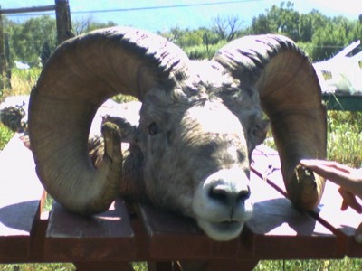 Captured iph 00225.jpg