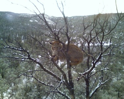 Captured iph 00055.jpg