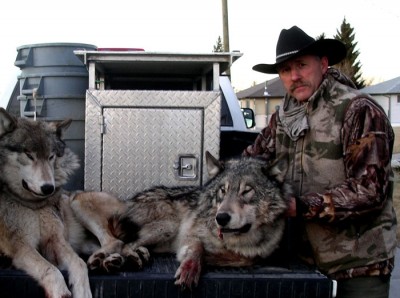 Wolves Jan.8 2012 3.jpg