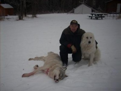 Victorias camera 339.JPG