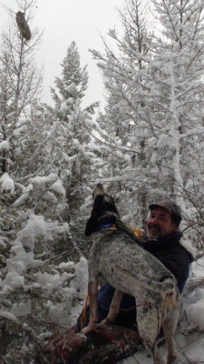 The Blue Bomber with the 10th anniversary cat.