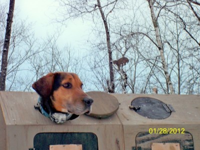 106_0537 [640x480].JPG