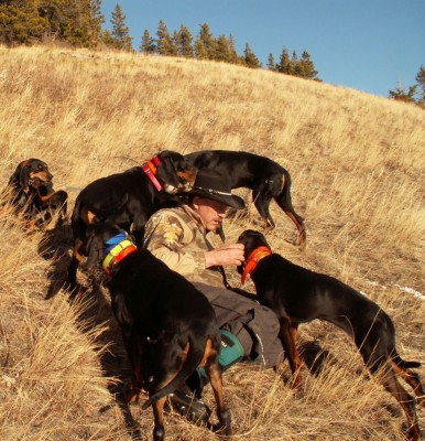 Cougar Canyon 2009.jpg