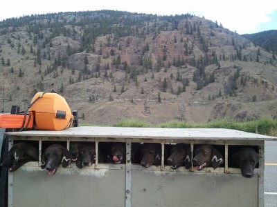 2011-08-31 15.54.39.jpg