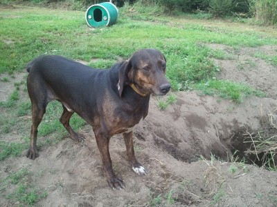 2011-08-30 15.38.55.jpg