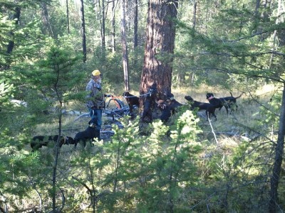 2011-09-10 08.52.25.jpg