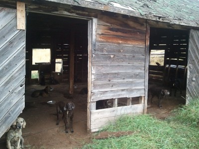 2011-09-01 11.24.24.jpg