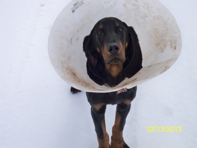 106_0542 [640x480].JPG