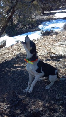 2012-02-25_10-33-30_378 00.jpg