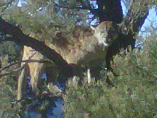 March 2012 Tom 4.jpg