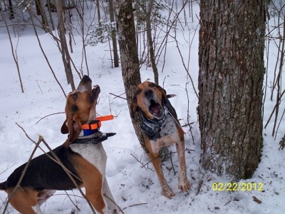 106_0558 [640x480].JPG